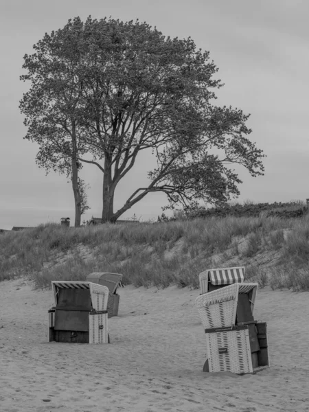 Almanya 'da Baltık Denizi' nde Ahrenshoop