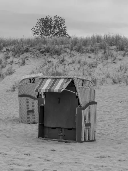 Almanya 'da Baltık Denizi' nde Ahrenshoop