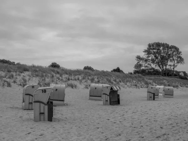 Almanya 'da Baltık Denizi' nde Ahrenshoop