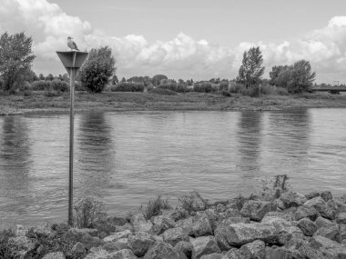 Hollanda 'nın Zutphen şehrinde, Ijssel nehrinde.