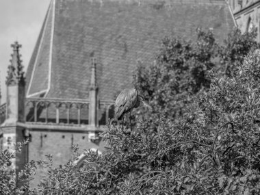 Hollanda 'nın Zutphen şehrinde, Ijssel nehrinde.