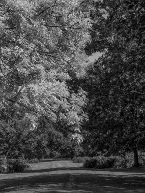 Almanya 'daki eski Anholt Kalesi