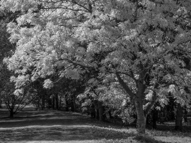 Almanya 'daki eski Anholt Kalesi