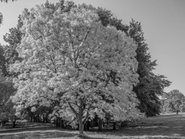 Almanya 'daki eski Anholt Kalesi