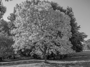 Almanya 'daki eski Anholt Kalesi