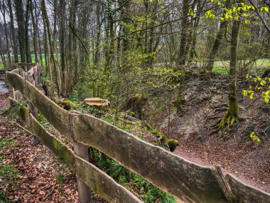 Westphalia 'daki küçük Darup köyü.