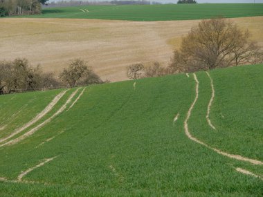 Westphalia 'daki küçük Darup köyü.