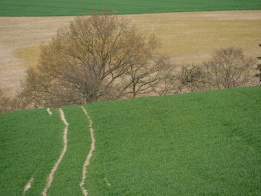 Westphalia 'daki küçük Darup köyü.
