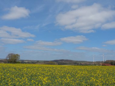 Alman Baumberge 'deki Darfeld' in küçük köyü.