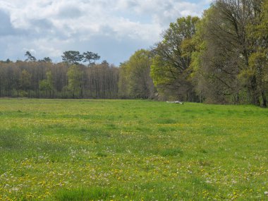 Almanya 'da dingdener Heide' de yürüyüş