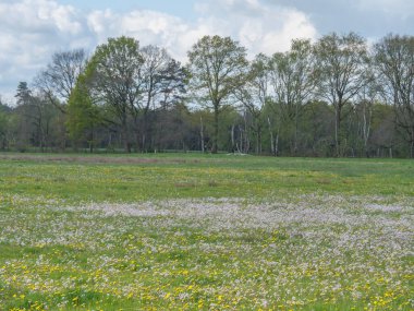 Almanya 'da dingdener Heide' de yürüyüş