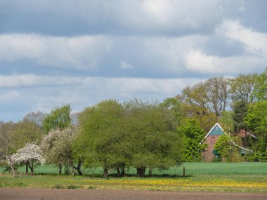 Almanya 'da dingdener Heide' de yürüyüş