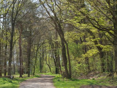 Almanya 'da dingdener Heide' de yürüyüş