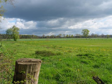 Almanya 'da dingdener Heide' de yürüyüş