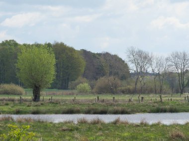 Almanya 'da dingdener Heide' de yürüyüş