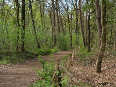 Almanya 'da dingdener Heide' de yürüyüş