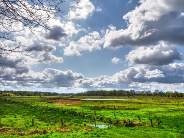 Almanya 'da dingdener Heide' de yürüyüş