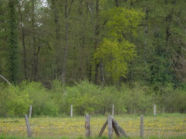 Almanya 'da dingdener Heide' de yürüyüş