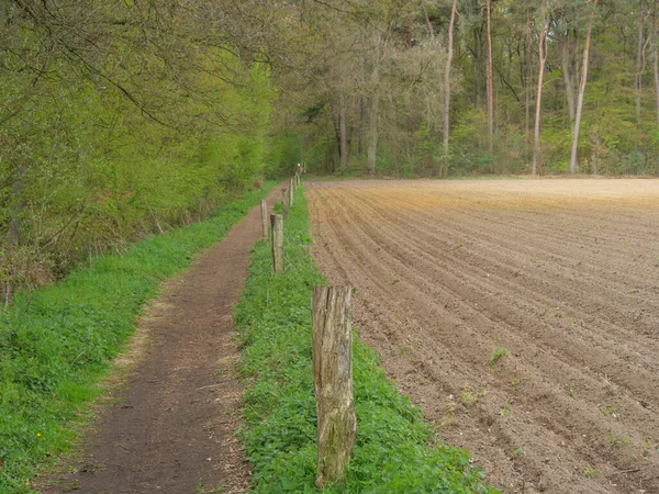 Wandelen Dingdener Heide Duitsland — Stockfoto