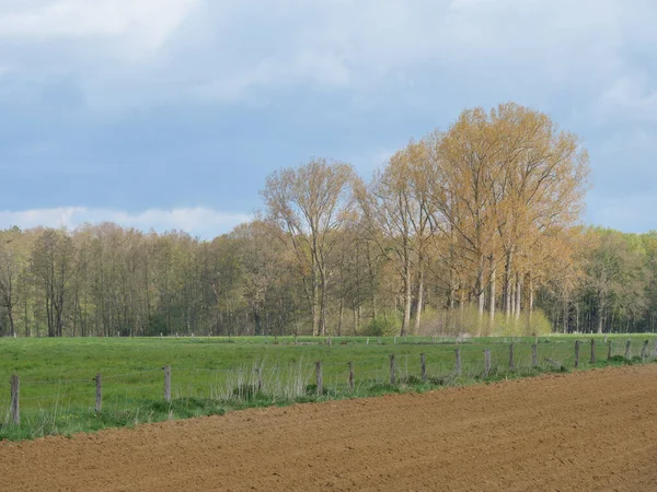 Wandern Der Dingdener Heide — Stockfoto