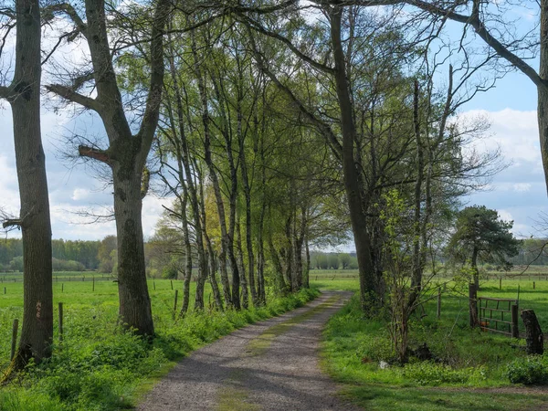 Hiking Dingdener Heide Germany — Stock Photo, Image