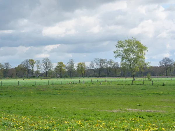 Wandern Der Dingdener Heide — Stockfoto