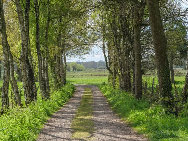 Almanya 'da dingdener Heide' de yürüyüş