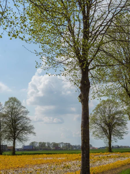 Wiosna Niemieckim Muensterland — Zdjęcie stockowe