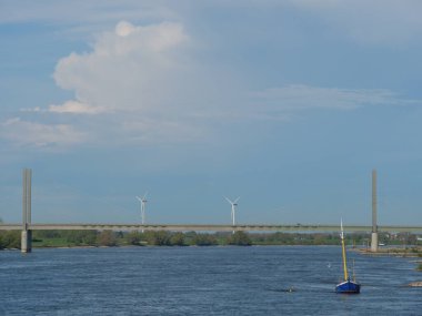 Rees at the river rhine in German