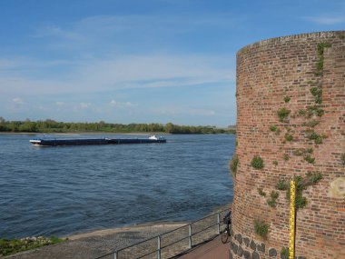 Rees at the river rhine in German