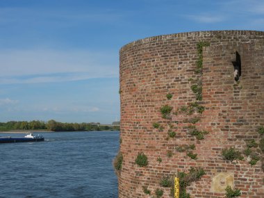 Rees at the river rhine in German