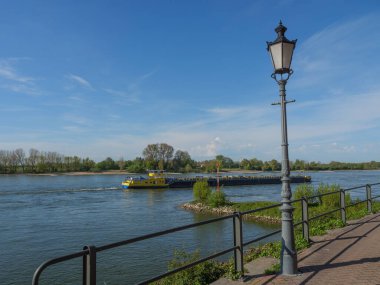 Rees at the river rhine in German