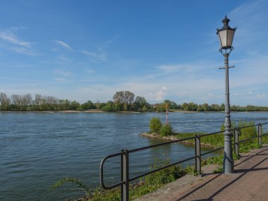 Rees at the river rhine in German