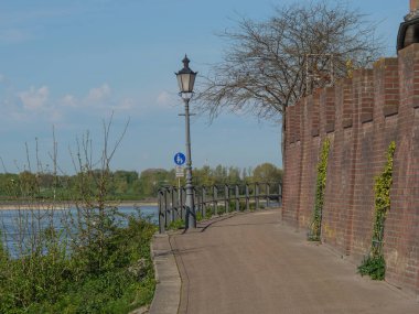 Rees at the river rhine in German