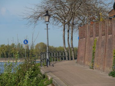 Rees at the river rhine in German