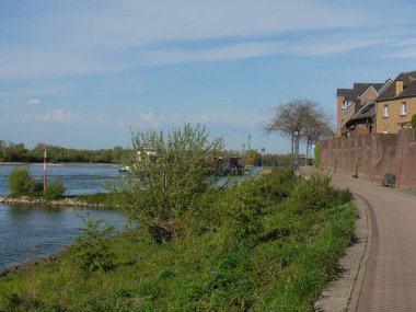 Rees at the river rhine in German