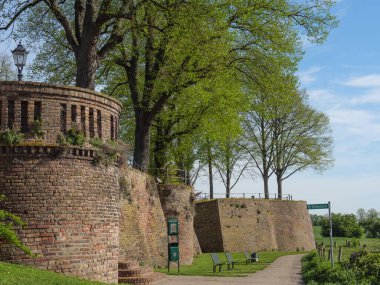 Rees at the river rhine in German