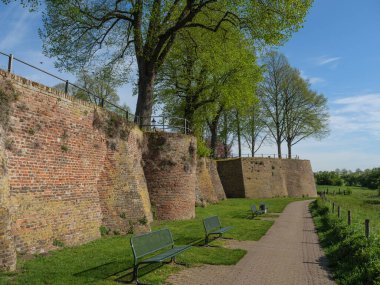Rees at the river rhine in German