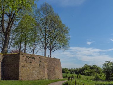 Rees at the river rhine in German