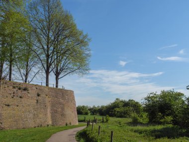 Rees at the river rhine in German