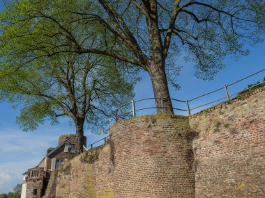 Rees at the river rhine in German