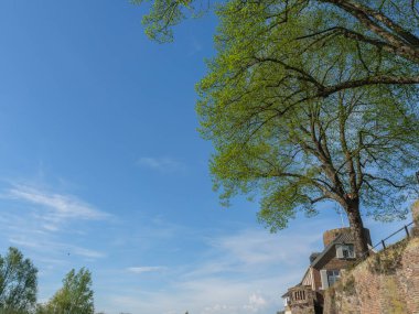 Rees at the river rhine in German