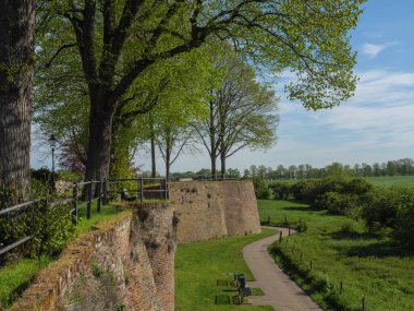 Rees at the river rhine in German