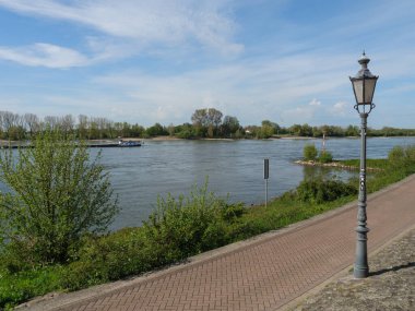 Rees at the river rhine in German