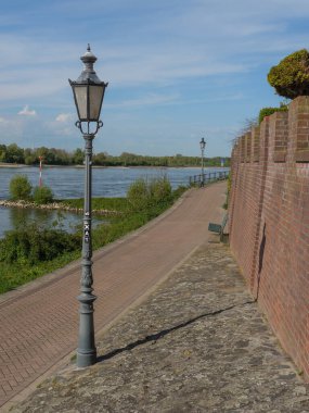 Rees at the river rhine in German