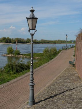 Rees at the river rhine in German