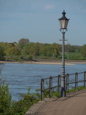 Rees at the river rhine in German