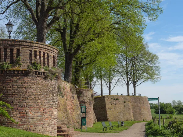 Rees at the river rhine in German