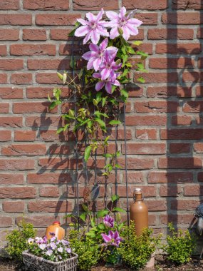 Alman Westphalia 'sında bahar geldi.