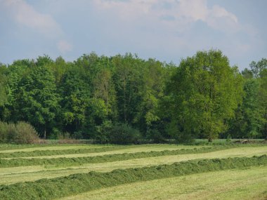 Alman Westphalia 'sında bahar geldi.